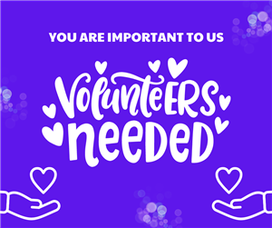 volunteer
